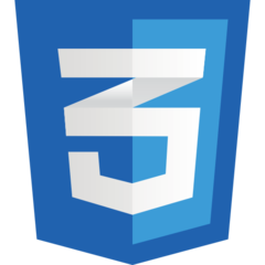 JavaScript
